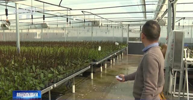 开启！创意好物热销pg试玩马年备货(图2)