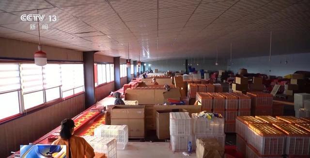 开启！创意好物热销pg试玩马年备货(图8)