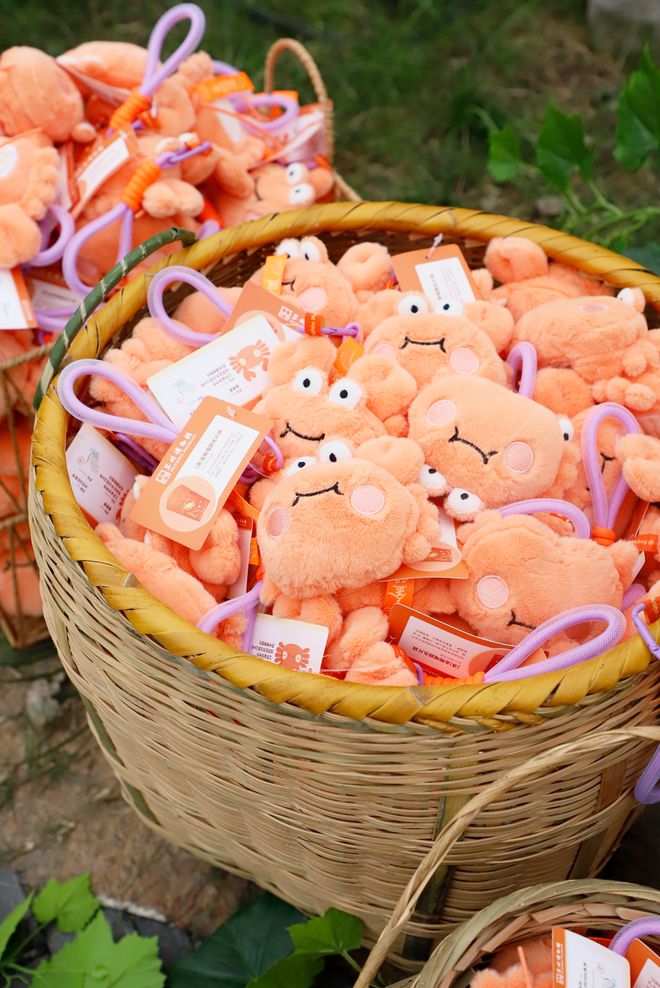 小冰箱贴缘何成了“社交货币”pg电子娱乐平台江南观察 小(图2)